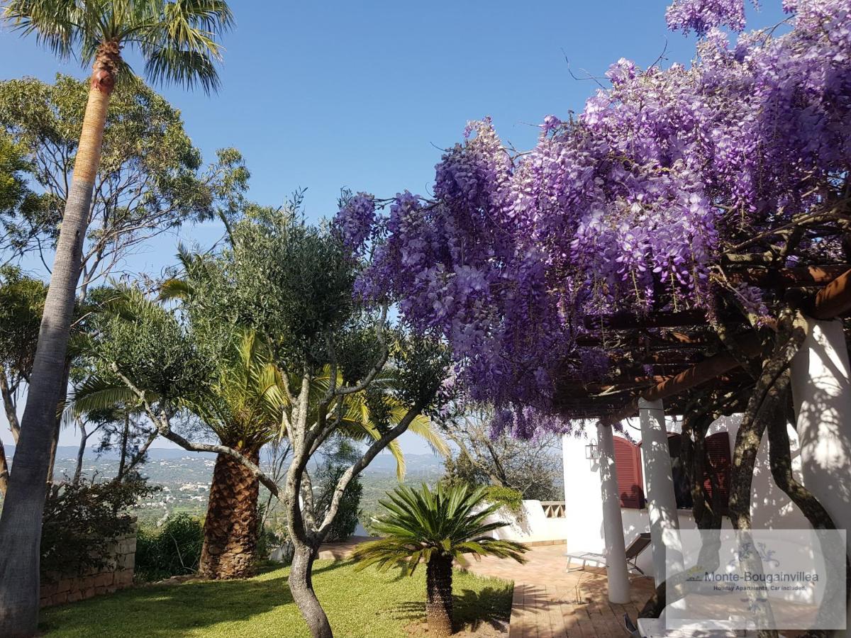 Monte-Bougainvillea Azinheiro Εξωτερικό φωτογραφία